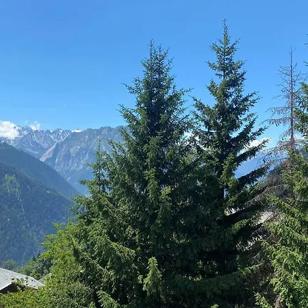 Asters 8 * Verbier