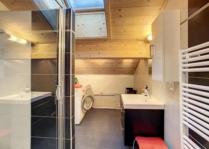 Asters 8 베르비에